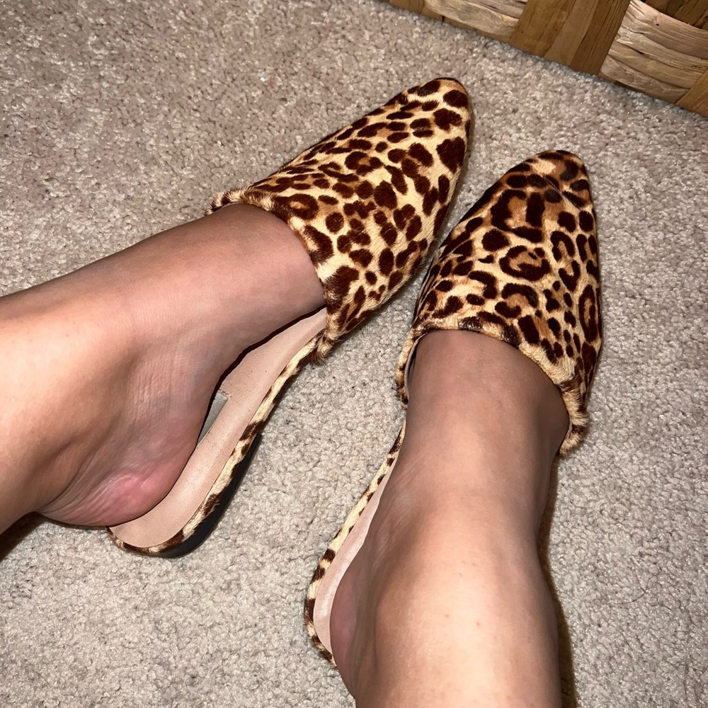 Steve Madden Flats
